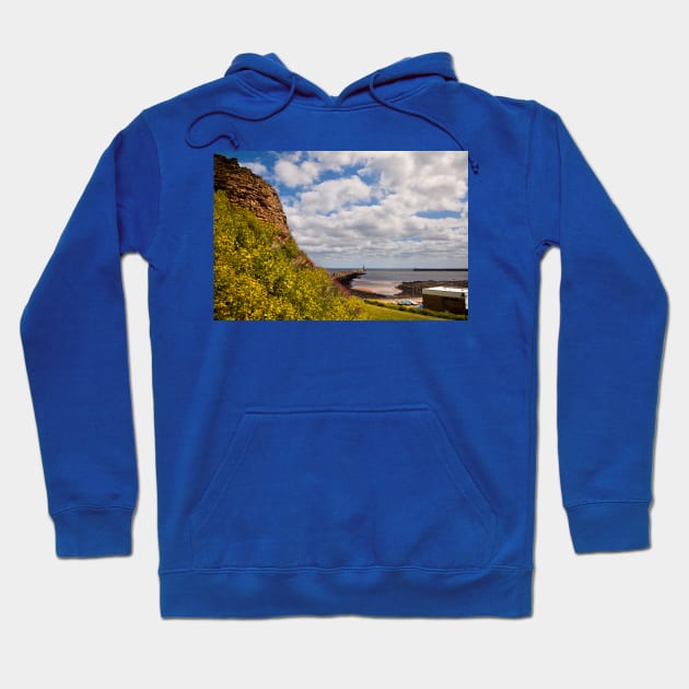 The mouth of the River Tyne Hoodie by Violaman